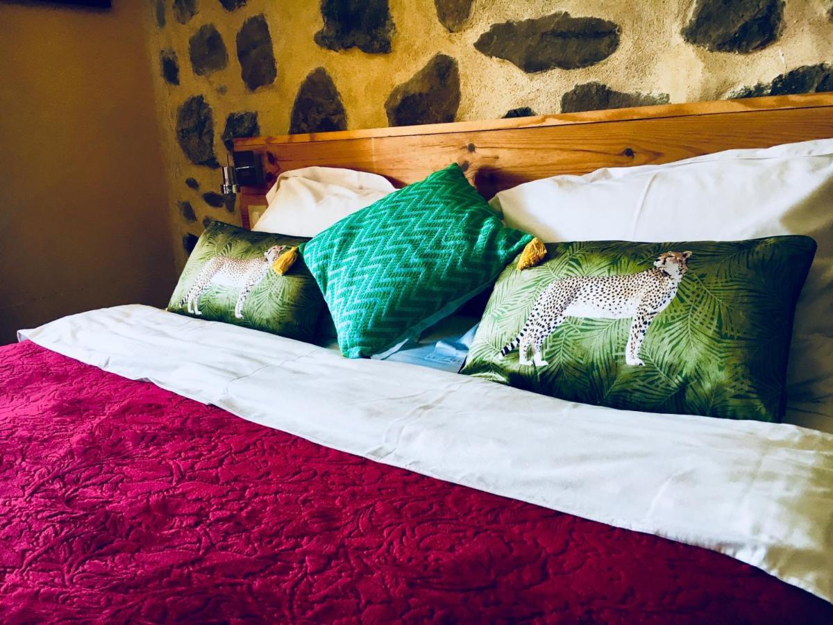 Chambre D'Hotes La Grange Des Ecrins Chabottes Экстерьер фото